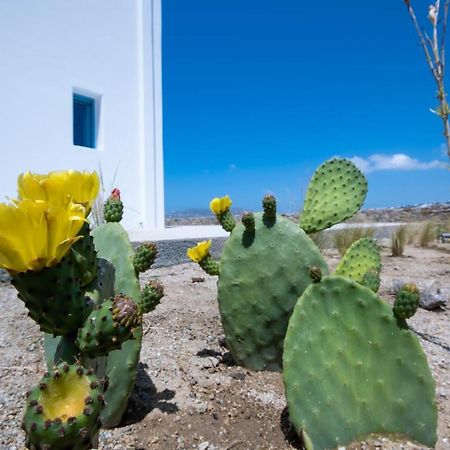 Lilly Villa By Bestofmikonos Ornos  Luaran gambar
