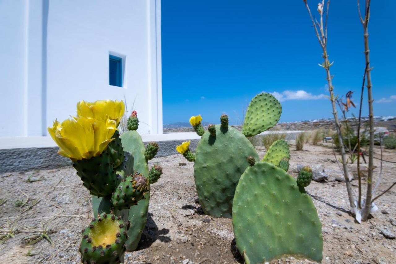 Lilly Villa By Bestofmikonos Ornos  Luaran gambar